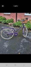 Bobbin Brownie Women's Bicycle