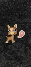 Littlest Pet Shop Brown Boston