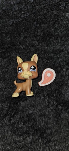 Littlest pet shop - pet, boston