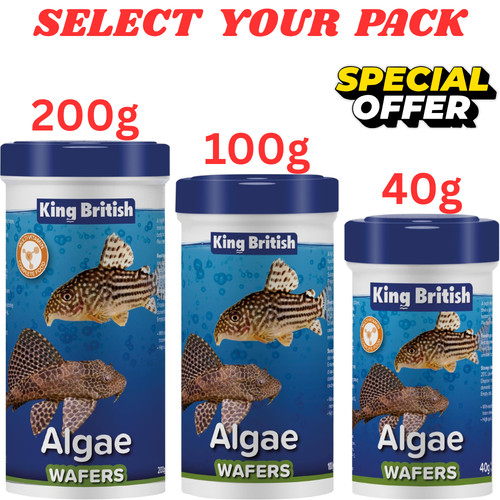 King british algae - british,