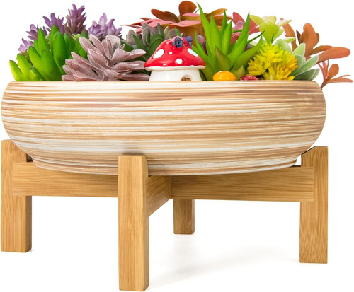 Succulent plant pots 25 5cm - succulent,