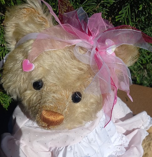 Vintage alice teddy bear - vintage,