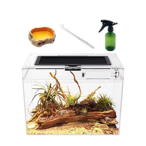 Growth mini reptile - growth,