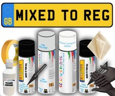 Mix By Reg Aerosol Spray Can