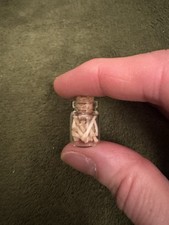 Squirrel Toe Bones