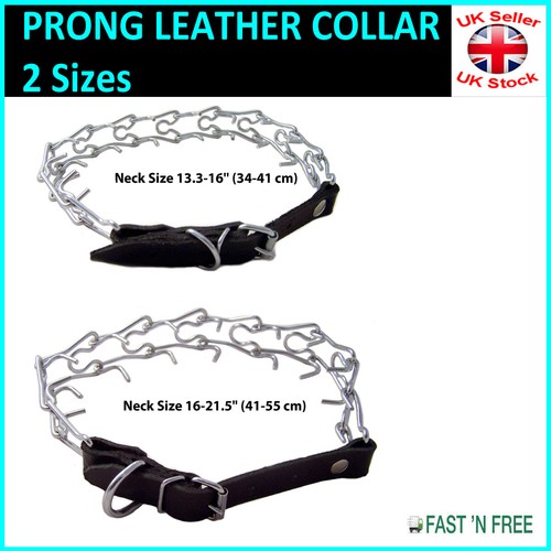Dog prong collar chain - chain, chrome