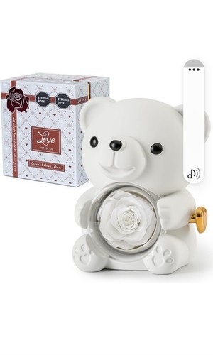 Teddy bear with preserved - bear,