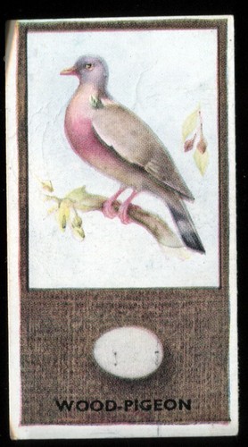 Tobacco card godfrey - tobacco, card,