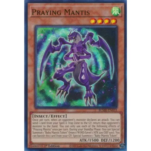 Praying mantis blmr en033 - praying,