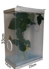 32cm Upright Stick Insect Cage Including Twig Pot