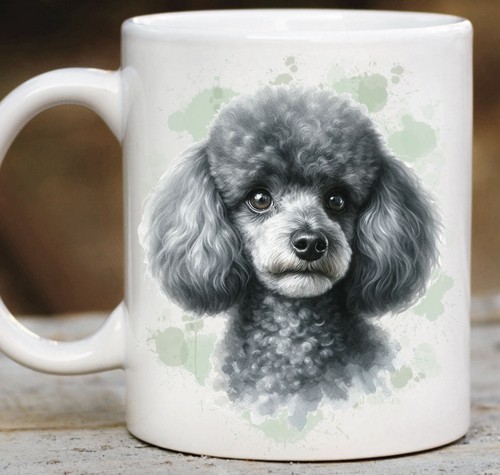 Miniature poodle dog - miniature,