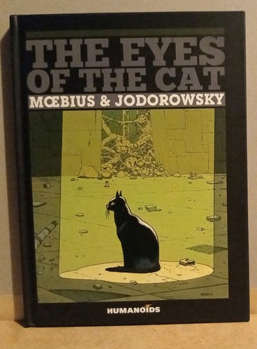 The eyes cat - eyes,