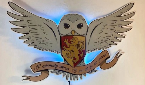 Harry potter hedwig - harry,