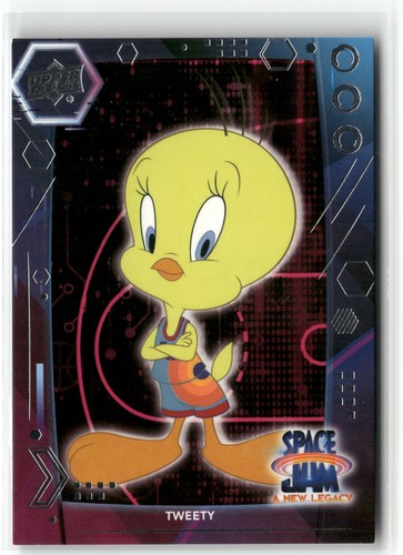 Tweety 2021 upper deck space - 2021,