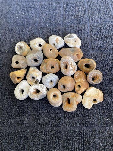 Twenty natural hag stones - natural,