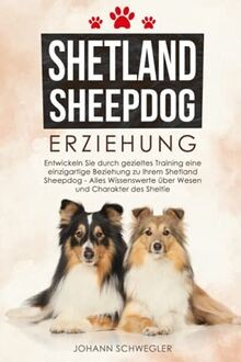 Shetland sheepdog erziehung - shetland,