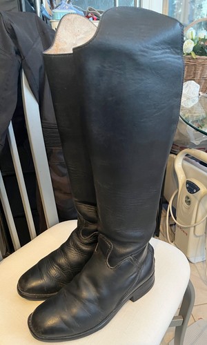 Mountain horse scs - mountain,