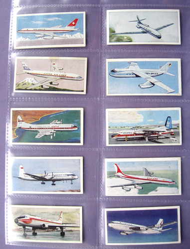 Wings across the world lyons - across,