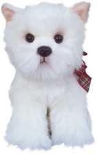 West highland terrier puppy - west,