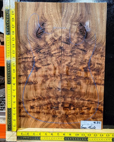 Elm burl guitar top set - elm,