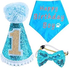 BIPY Dog 1st Birthday Hat