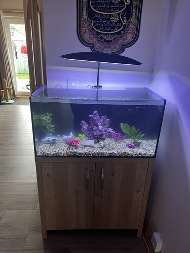 Aquamanta fish tank - fish, led