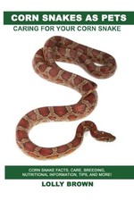 Corn snakes pets - pets:,