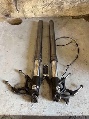 Triumph 765rs forks - forks, and