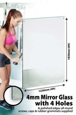 Polished Edge Mirror 4 Holes