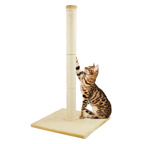 Kct large cat - scratching, beige