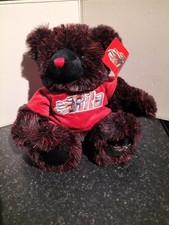 Alton Towers Theme Park Rita