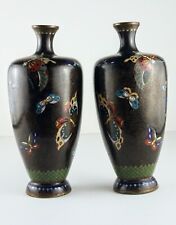 Pair Of Japanese Butterfly