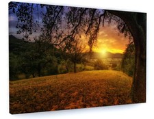 STUNNING OPEN FIELD WOODLAND