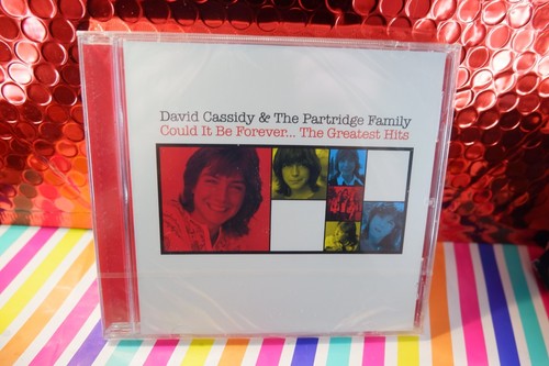 Could forever 2xcd david - could,