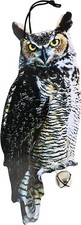 Black Resin Owl Bird Scarer