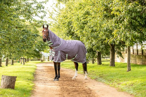200g turnout horse - 200g,