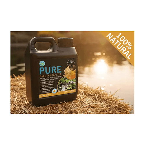 Evolution aqua pure - pure, in