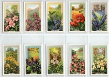 Gallaher: Wild Flowers 1939