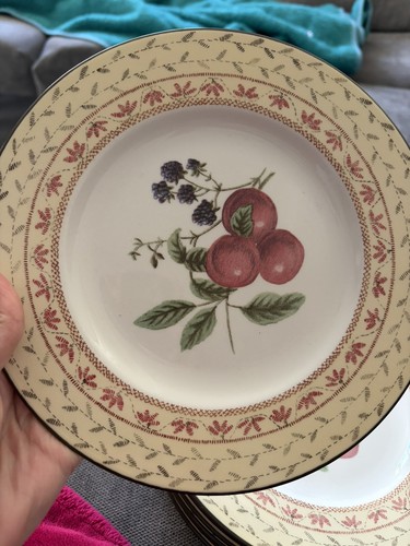 Johnson brothers fruit sampler - johnson,