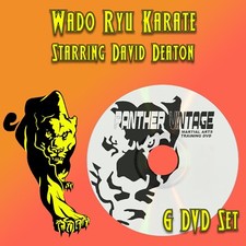 Wado Ryu Karate starring David