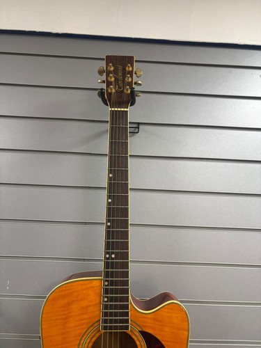 Tanglewood semi acoustic - tanglewood,