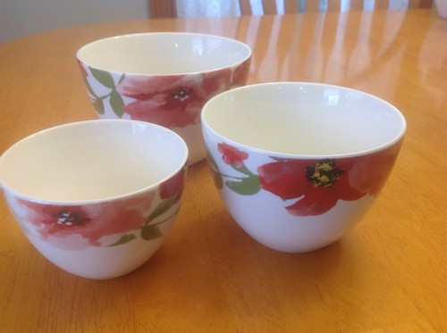 Portobello inspire bowls - inspire,