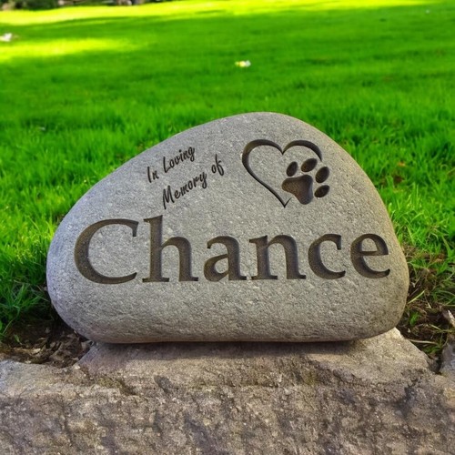 Made personalised pet - made,