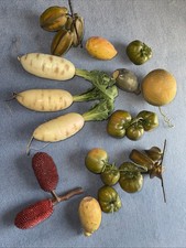 Large Group Of
