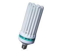300W Exodus Blue Grow CFL-hydroponics-grow room