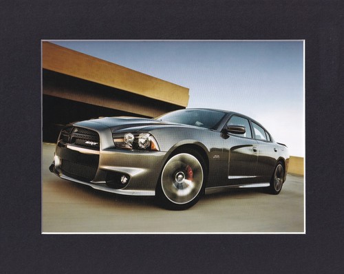 8x10 matted print - matted, muscle