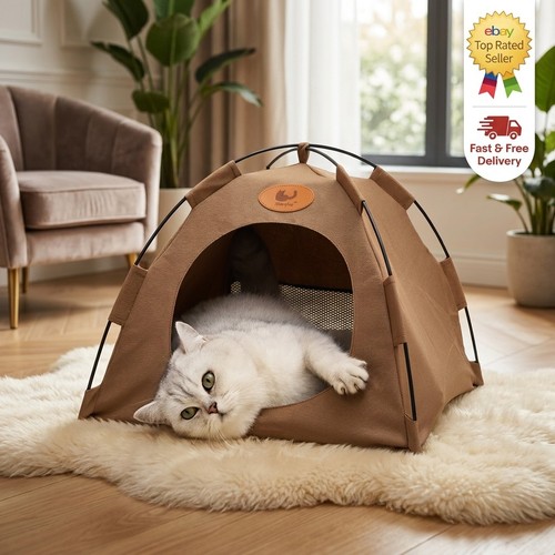 Pet tent cat - cat, bed