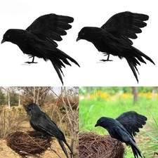 Black Lifesize Raven Movie