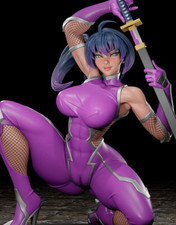 Taimanin Asagi Ninja Mini  -