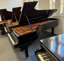 Steinway & Sons Model D
